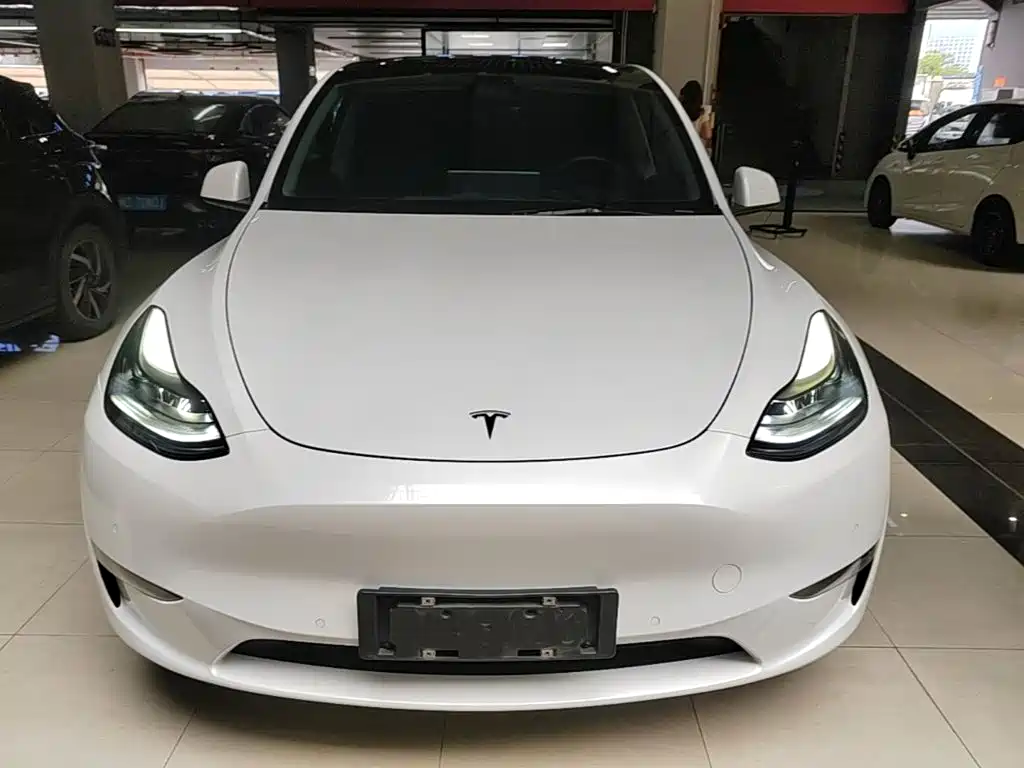 Tesla Model Y — миниатюра 3
