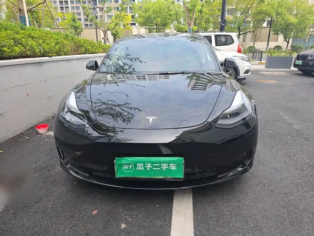 Tesla Model 3 — миниатюра 3