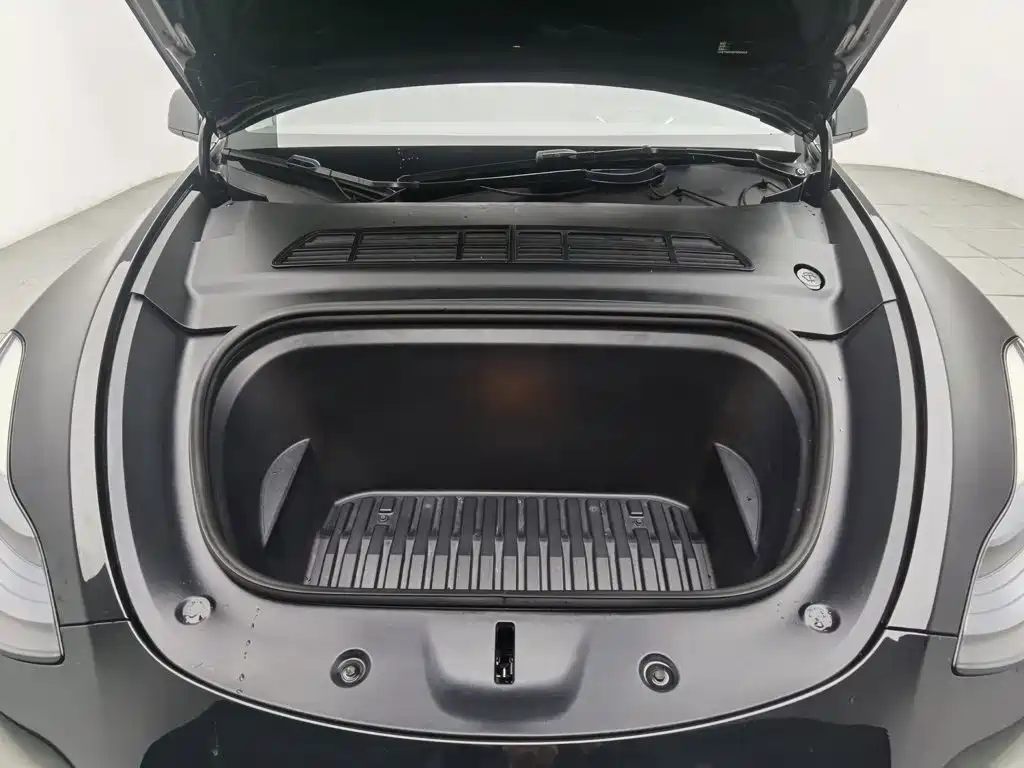Tesla Model Y — миниатюра 6