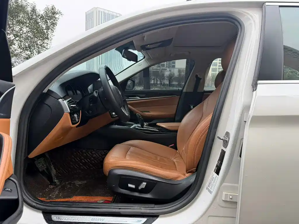BMW 5 Series 5 2018 528Li
