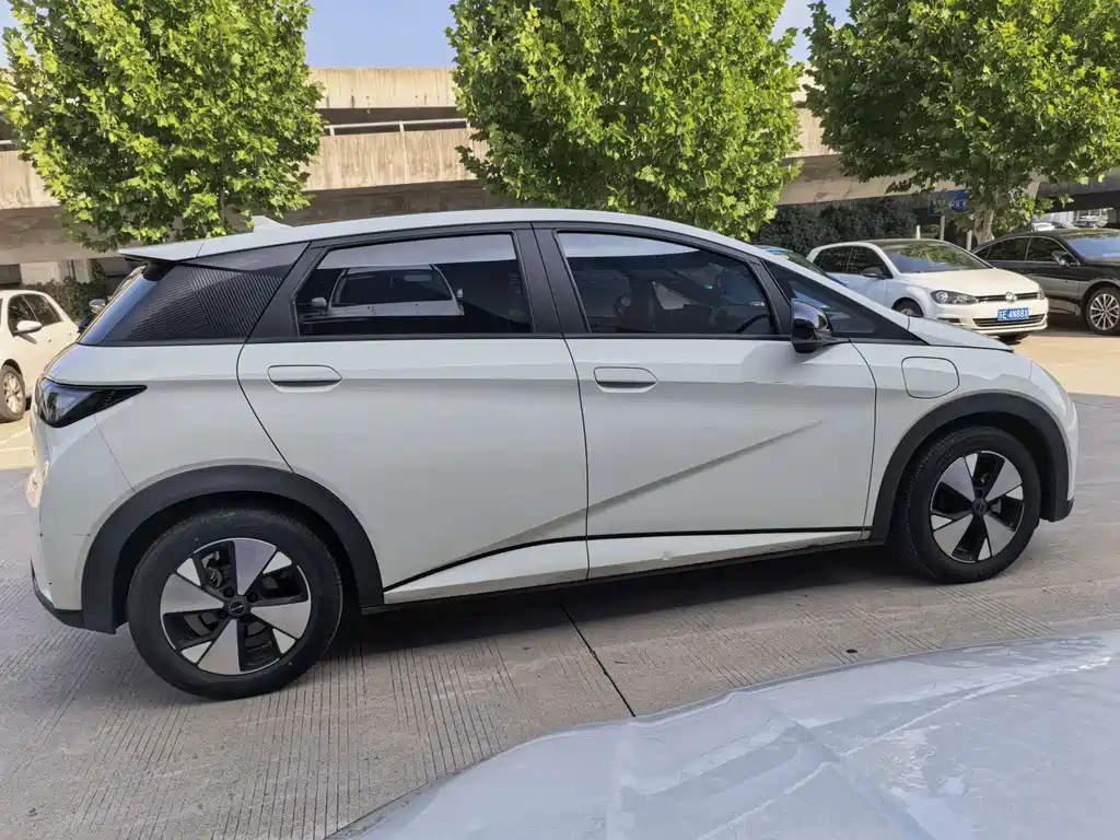 BYD Dolphin — миниатюра 5