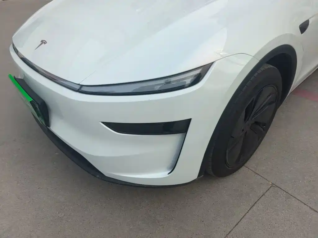 Tesla Model Y — миниатюра 24