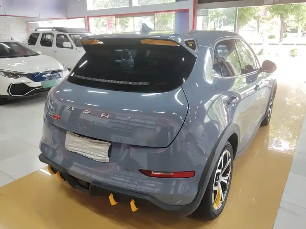 Ora Ora Good Cat GT — миниатюра 7
