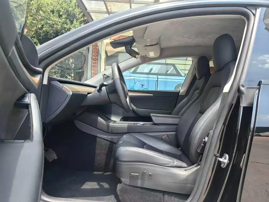 Tesla Model Y — миниатюра 5