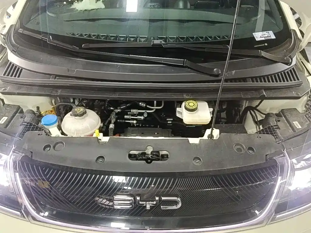 BYD Dolphin — миниатюра 20