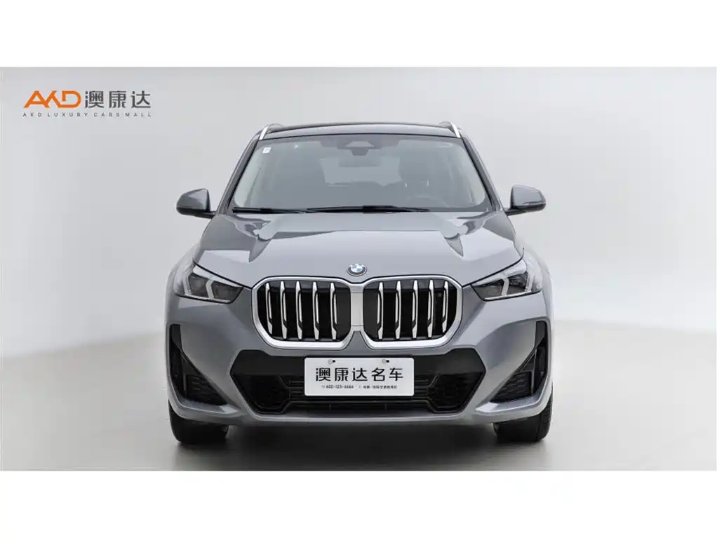 BMW X1 — миниатюра 2