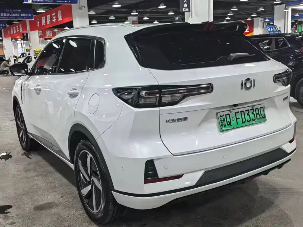 Qiyuan Чанг Ан Кай Q05 классика. — миниатюра 5