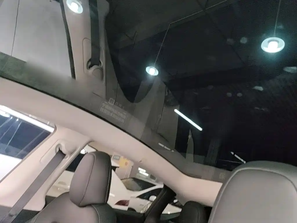Tesla Model Y — миниатюра 18