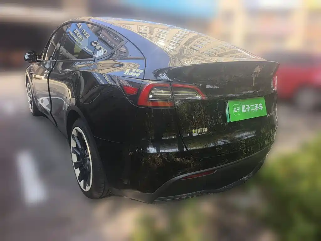Tesla Model Y — миниатюра 4