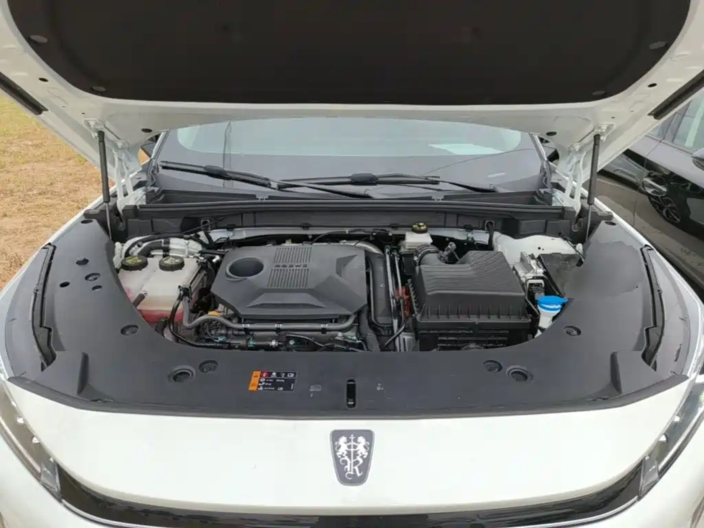 Roewe D5X DMH — миниатюра 20