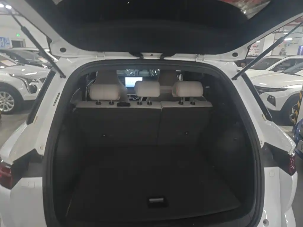 BYD Pro New Energy — миниатюра 19