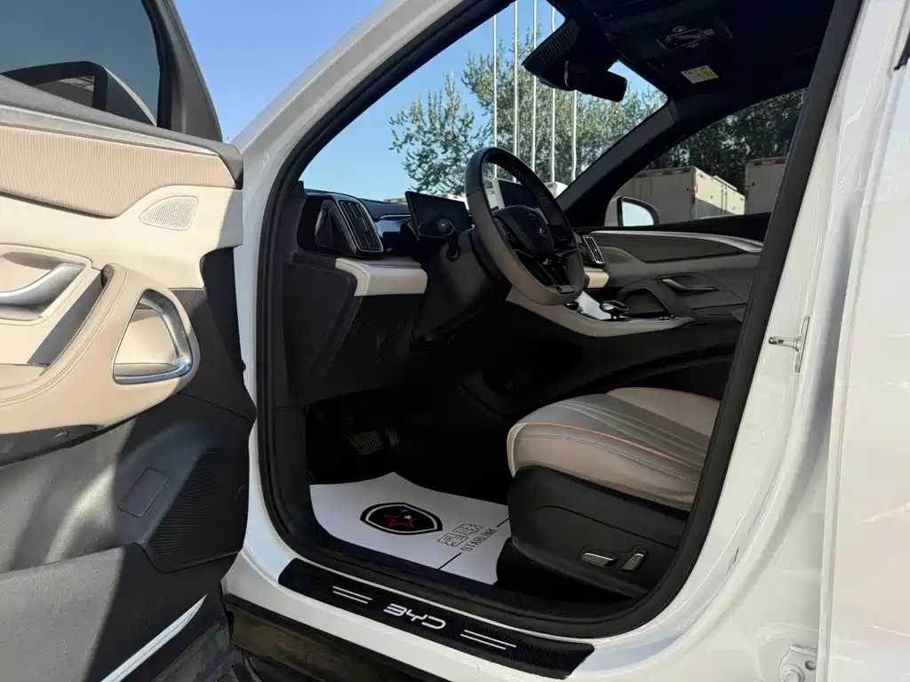 BYD Pro New Energy — миниатюра 4