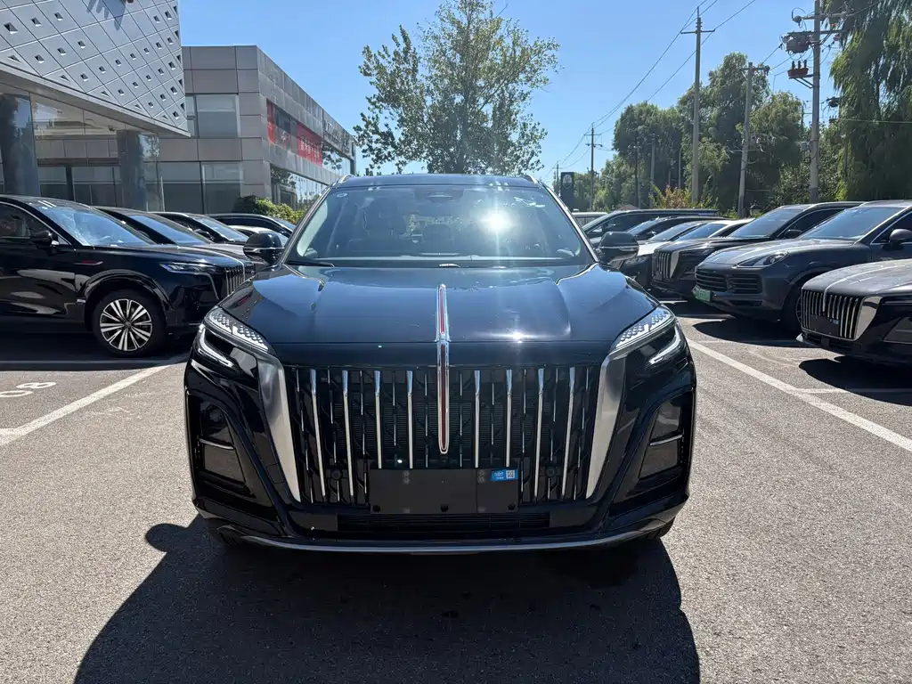 Hongqi Hongqi HS3 PHEV — миниатюра 2