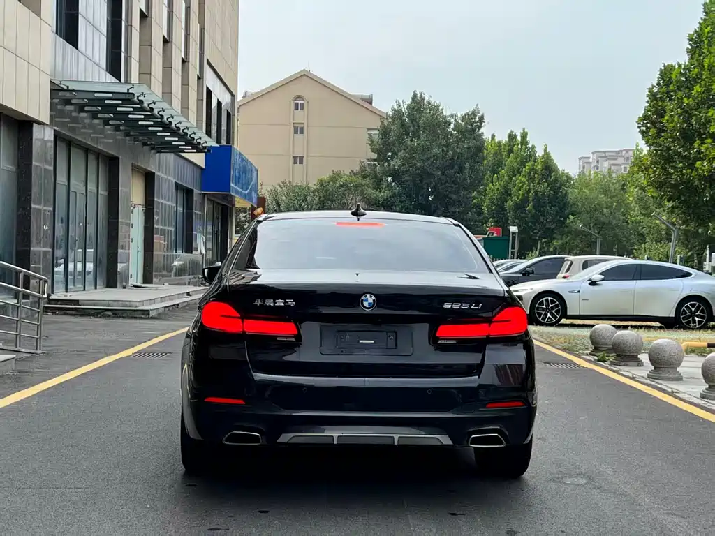 BMW 5 Series — миниатюра 5