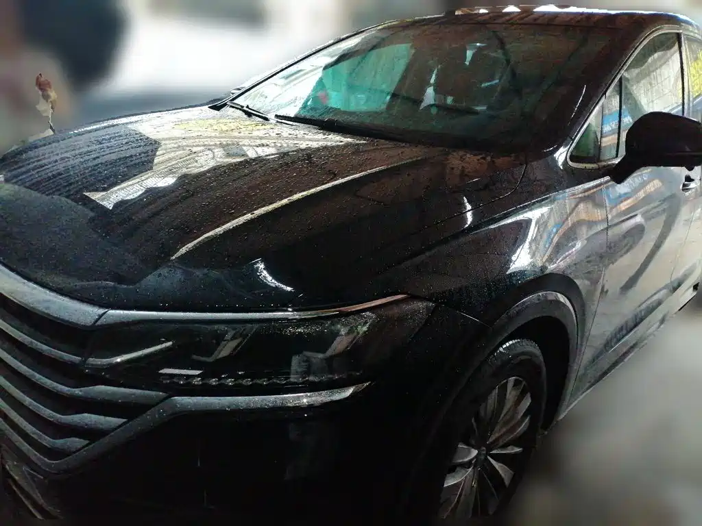 Volkswagen Viloran — миниатюра 2