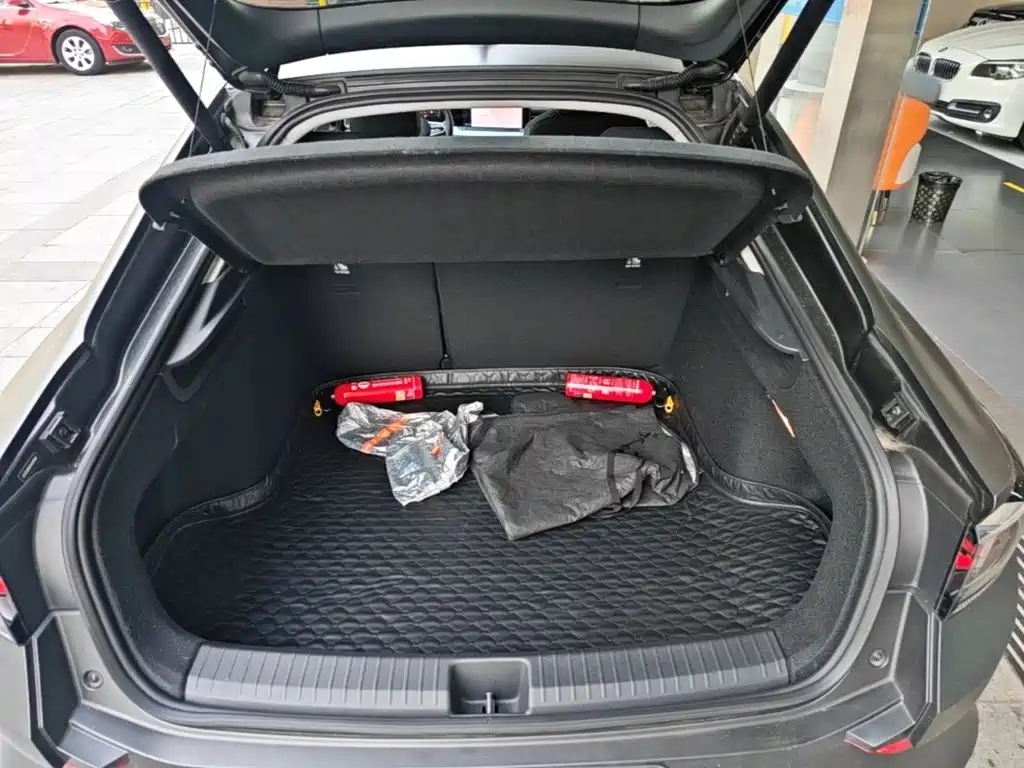 Volkswagen Lamando — миниатюра 19