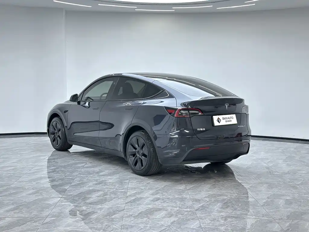 Tesla Model Y — миниатюра 6