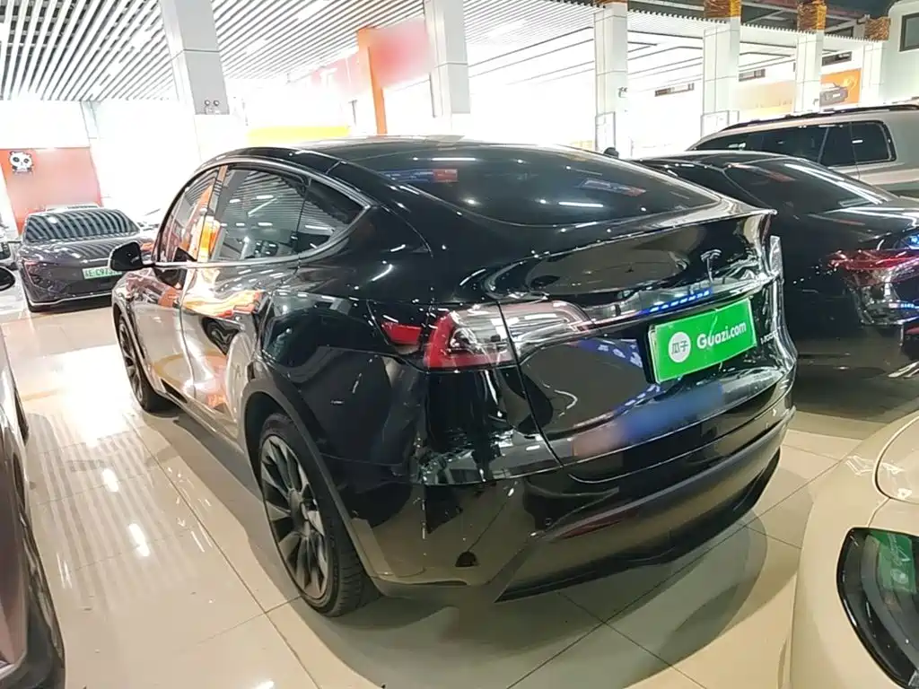 Tesla Model Y — миниатюра 5