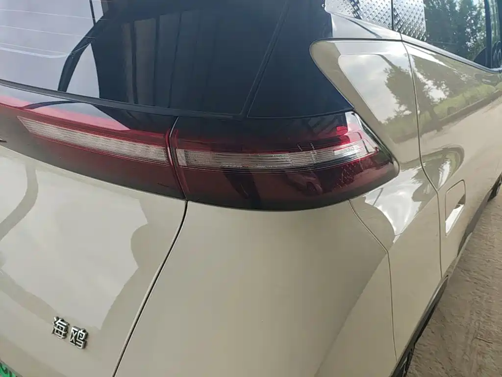 BYD Seagull 2024 305km Freedom