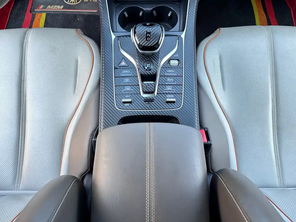 BYD Qin PLUS — миниатюра 13