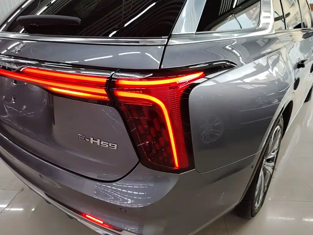 Hongqi Hongqi E-HS9 — миниатюра 8