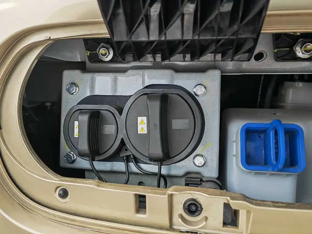 BESTUNE PENTIUM PONY