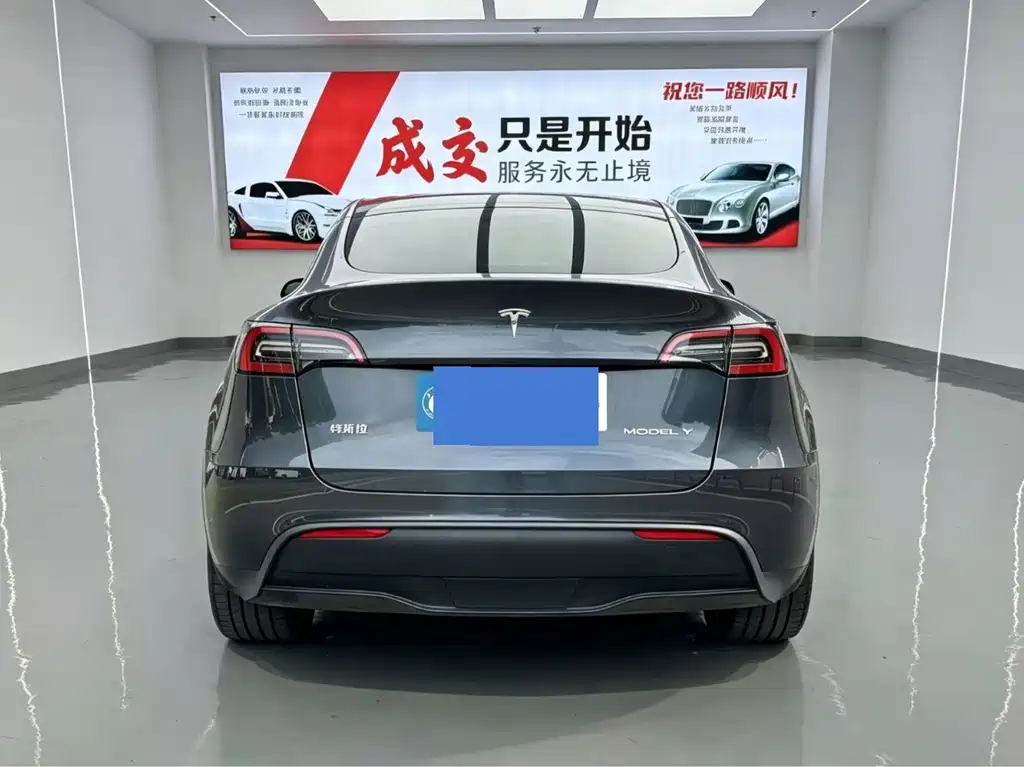 Tesla Model Y — миниатюра 13