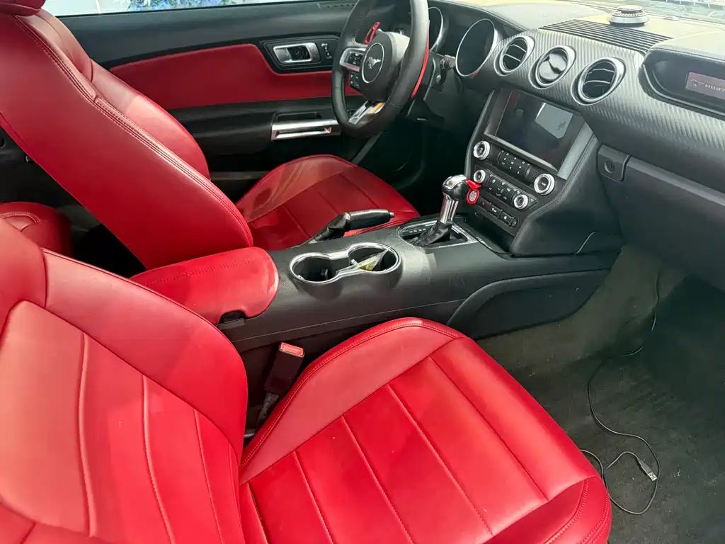 Ford Mustang — миниатюра 10
