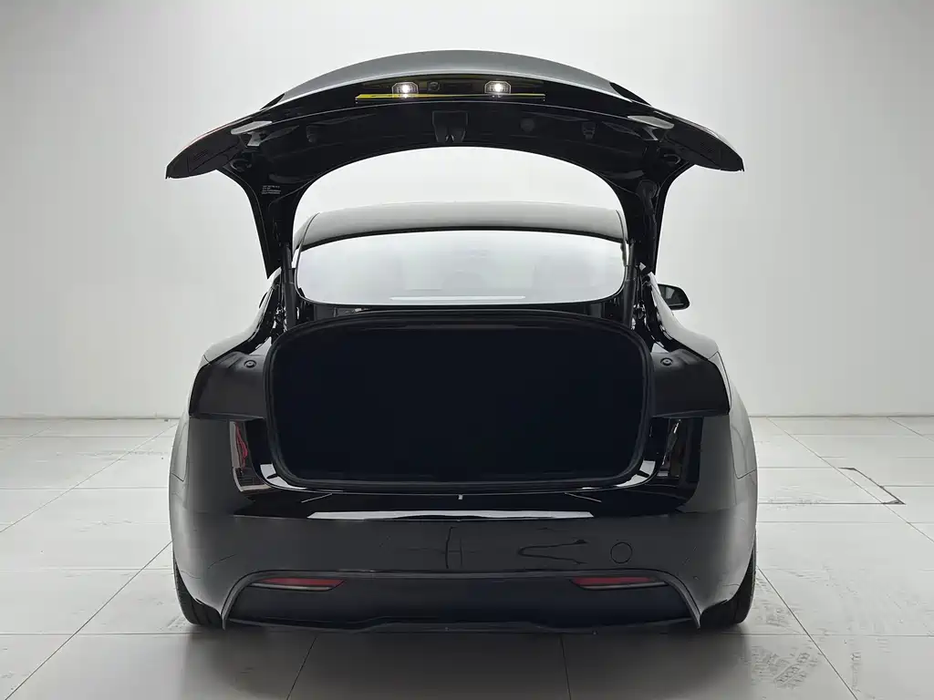 Tesla Model 3 — миниатюра 23