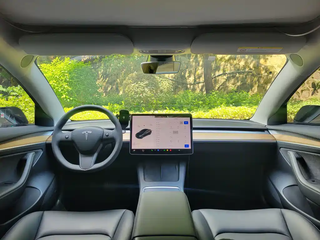 Tesla Model 3 — миниатюра 20