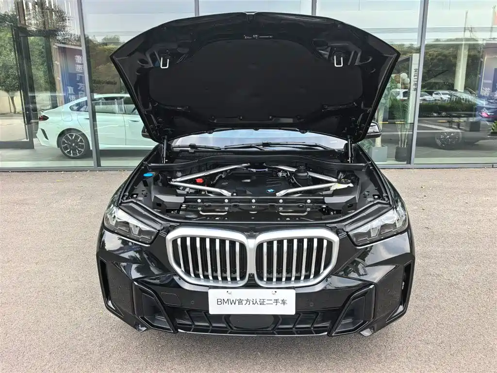 BMW X5 — миниатюра 21