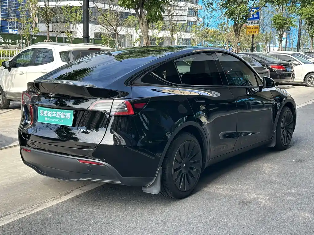 Tesla Model Y — миниатюра 4