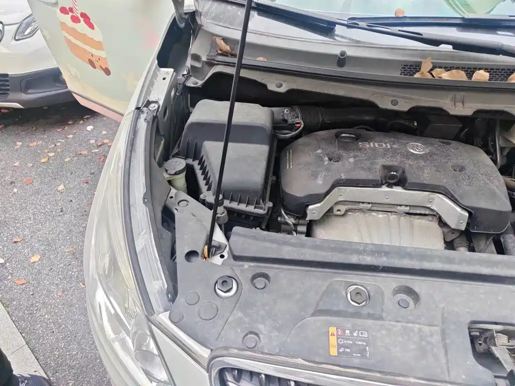 Buick GL8 — миниатюра 19