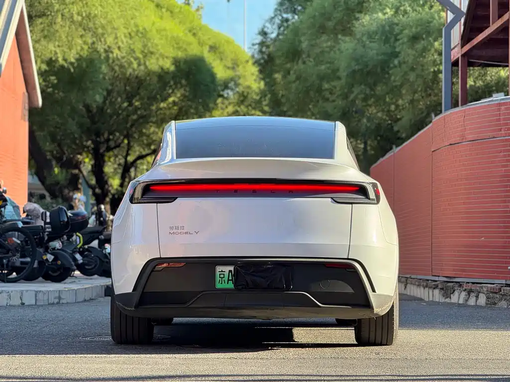 Tesla Model Y — миниатюра 6