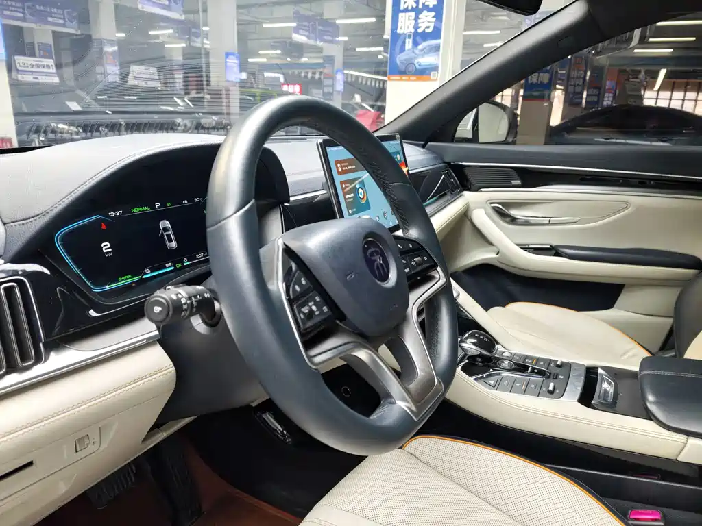 BYD PLUS New Energy — миниатюра 8