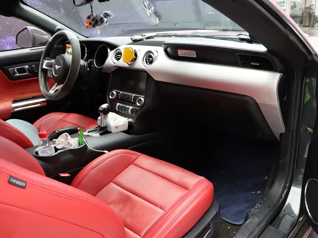 Ford Mustang — миниатюра 12