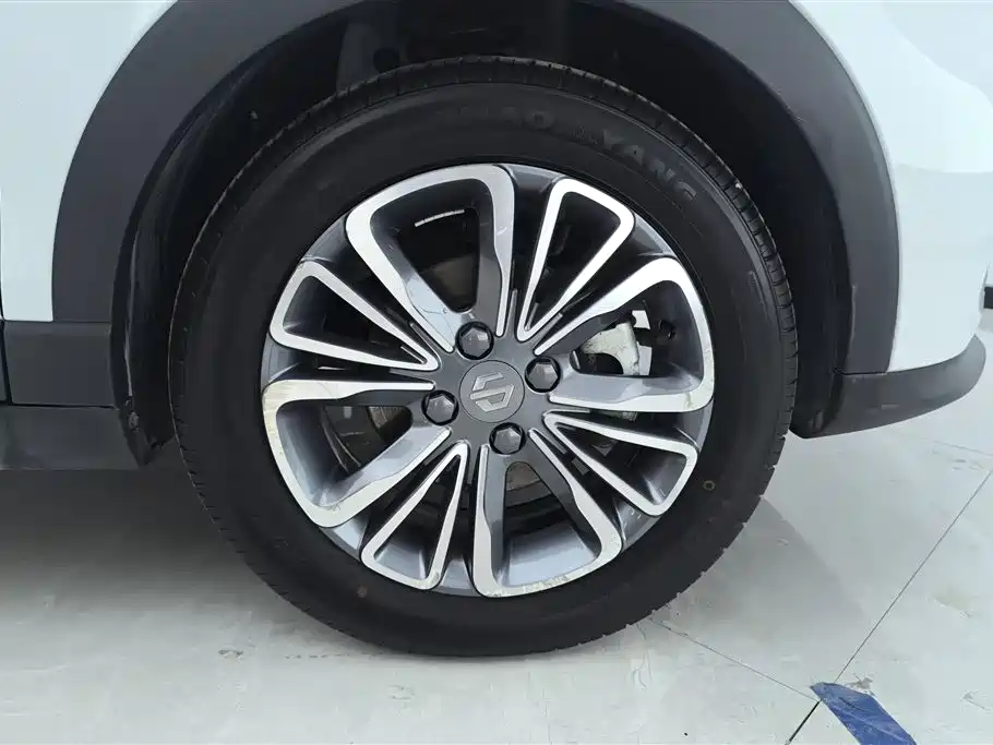 Leapmotor T03 2024 310