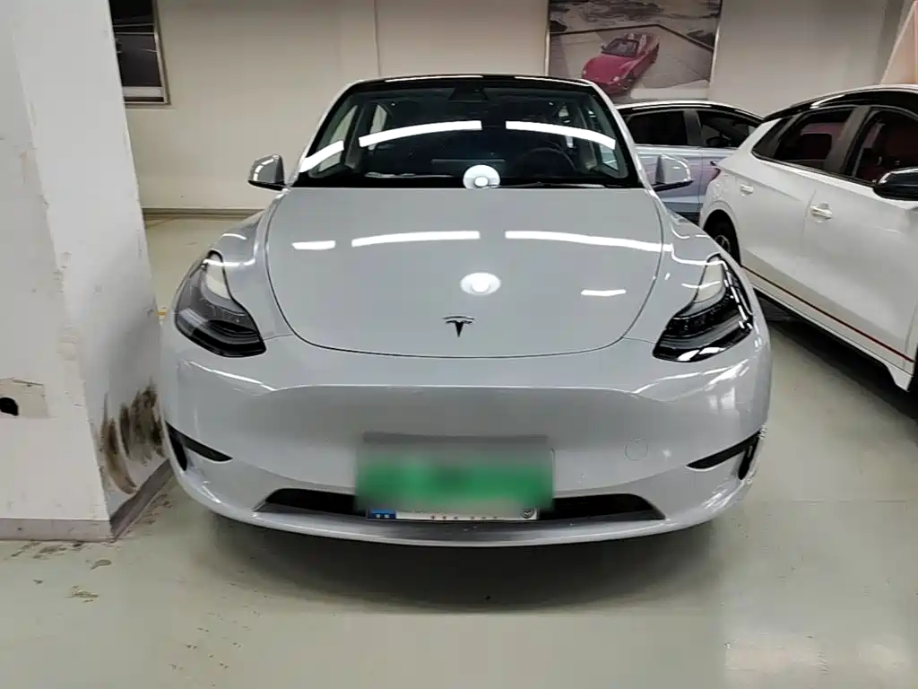 Tesla Model Y — миниатюра 3