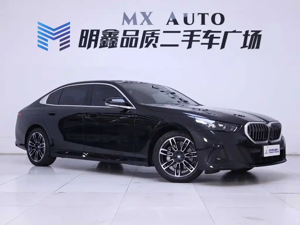 BMW 5 Series — миниатюра 5