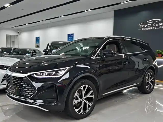 BYD TANGXIN ENERGY 2025