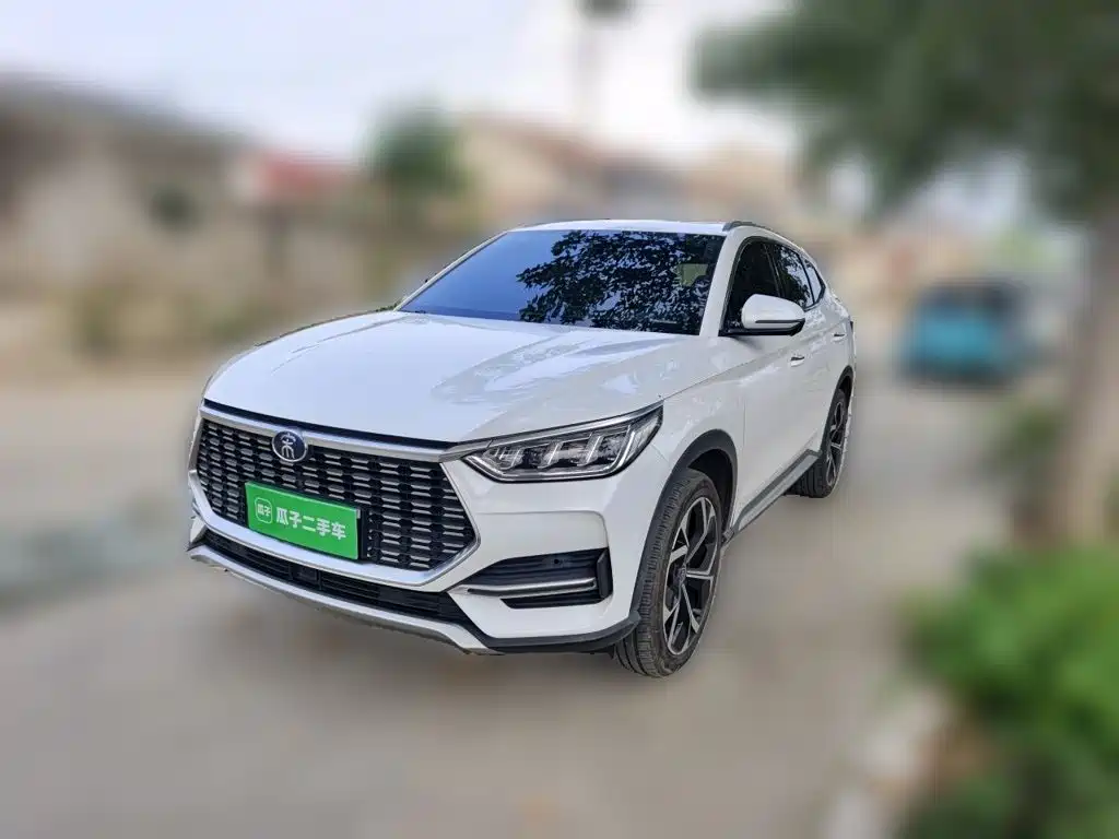 BYD PLUS