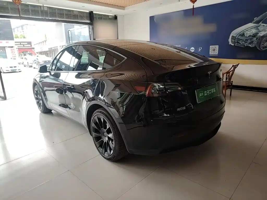 Tesla Model Y — миниатюра 5