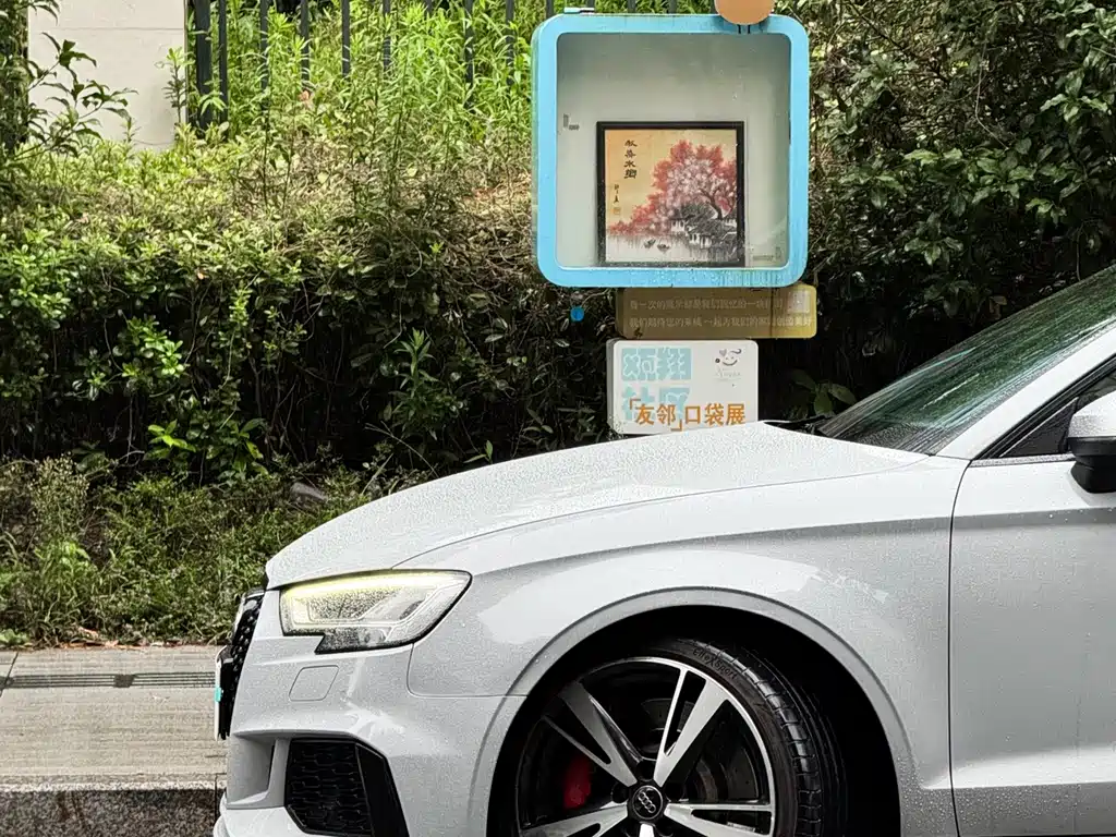 Audi RS 3 — миниатюра 13