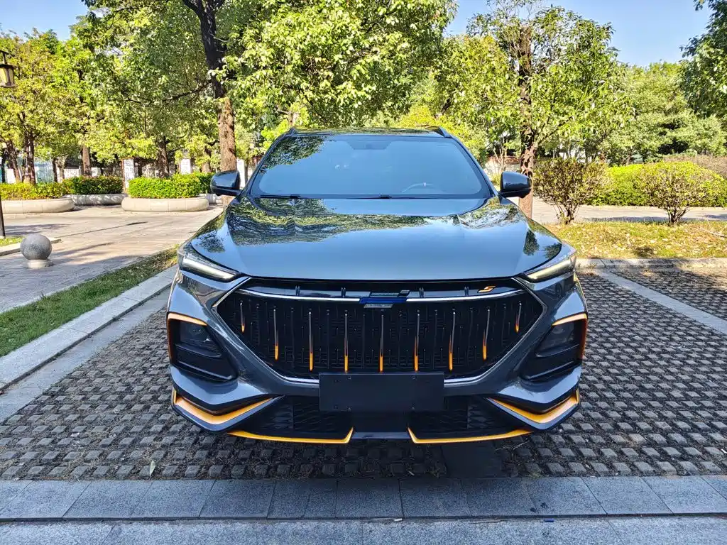 Oshan Oushang X5 — миниатюра 3