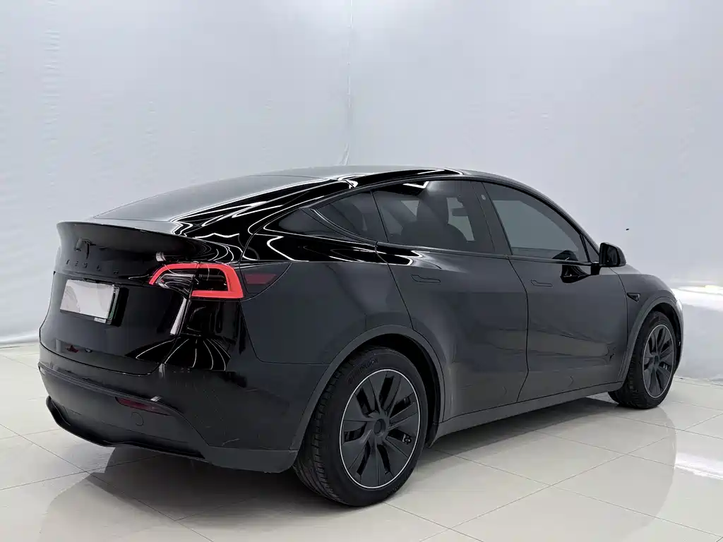 Tesla Model Y — миниатюра 12