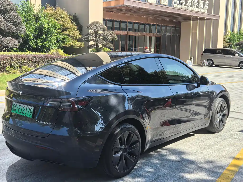 Tesla Model Y — миниатюра 7