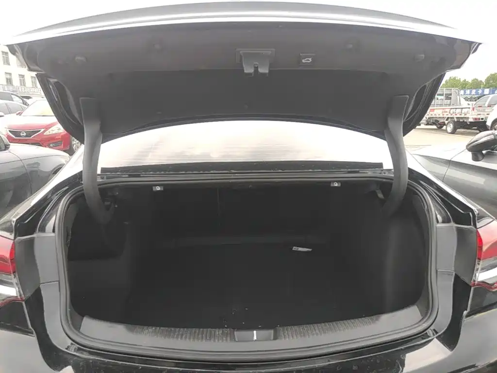 Buick Regal — миниатюра 19