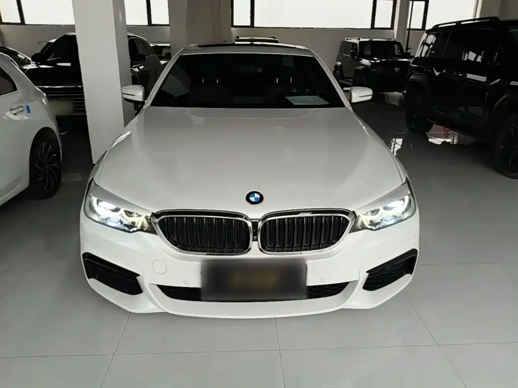 BMW 5 Series — миниатюра 3