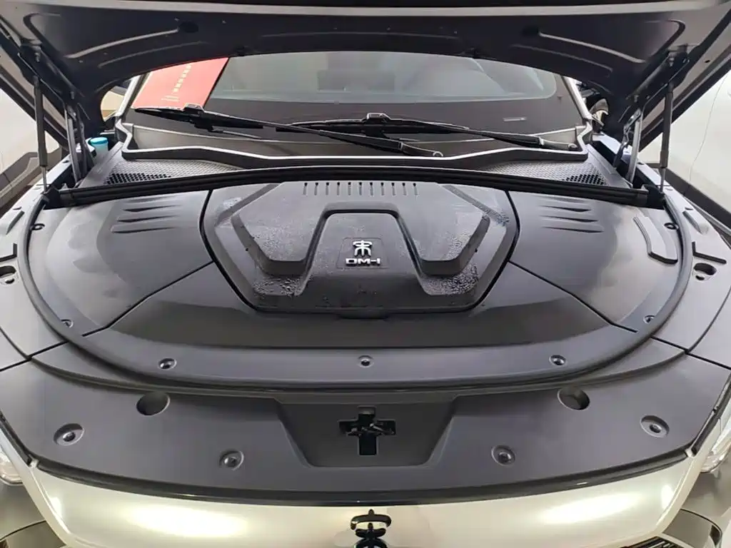 BYD PLUS New Energy — миниатюра 20