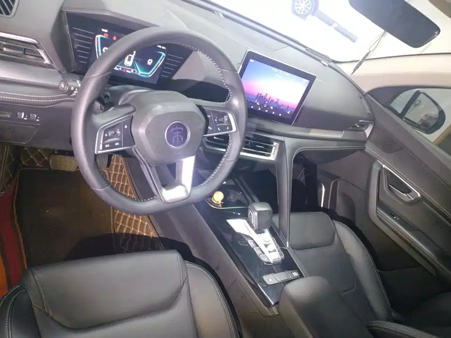 BYD Pro — миниатюра 12